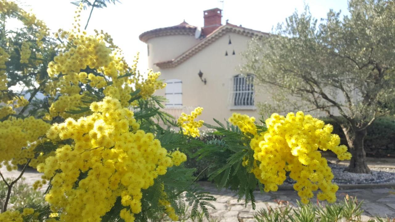 Le Relais Fleuri Hotel Ales Exterior photo